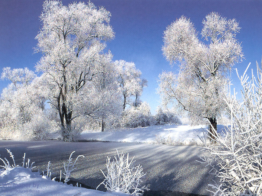 Sfondi Paesaggi Invernali Natalizi.Una Foto Che Ci Piace Pagina 60