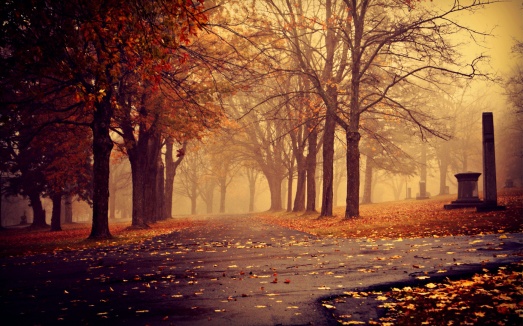 411986_Autumn_Park_Trees_1920x1200_(www.GdeFon.ru)